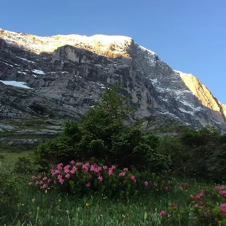 Eigernordwand Daire Grindelwald