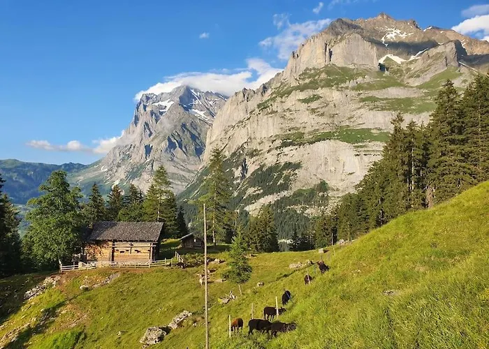 Eigernordwand Lejlighed