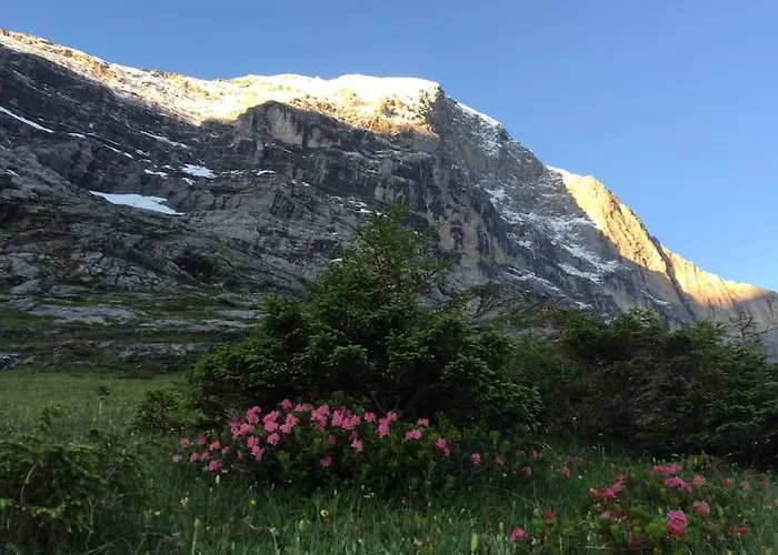 Eigernordwand Apartamento Grindelwald