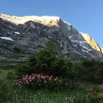 Eigernordwand アパート グリンデルヴァルト